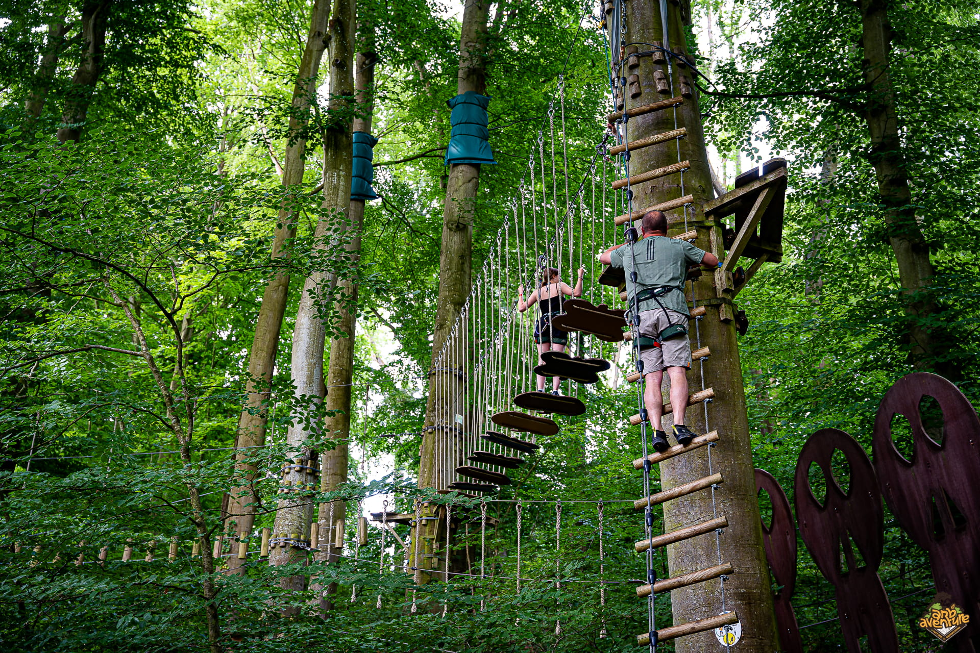 Photo Arb'Aventure