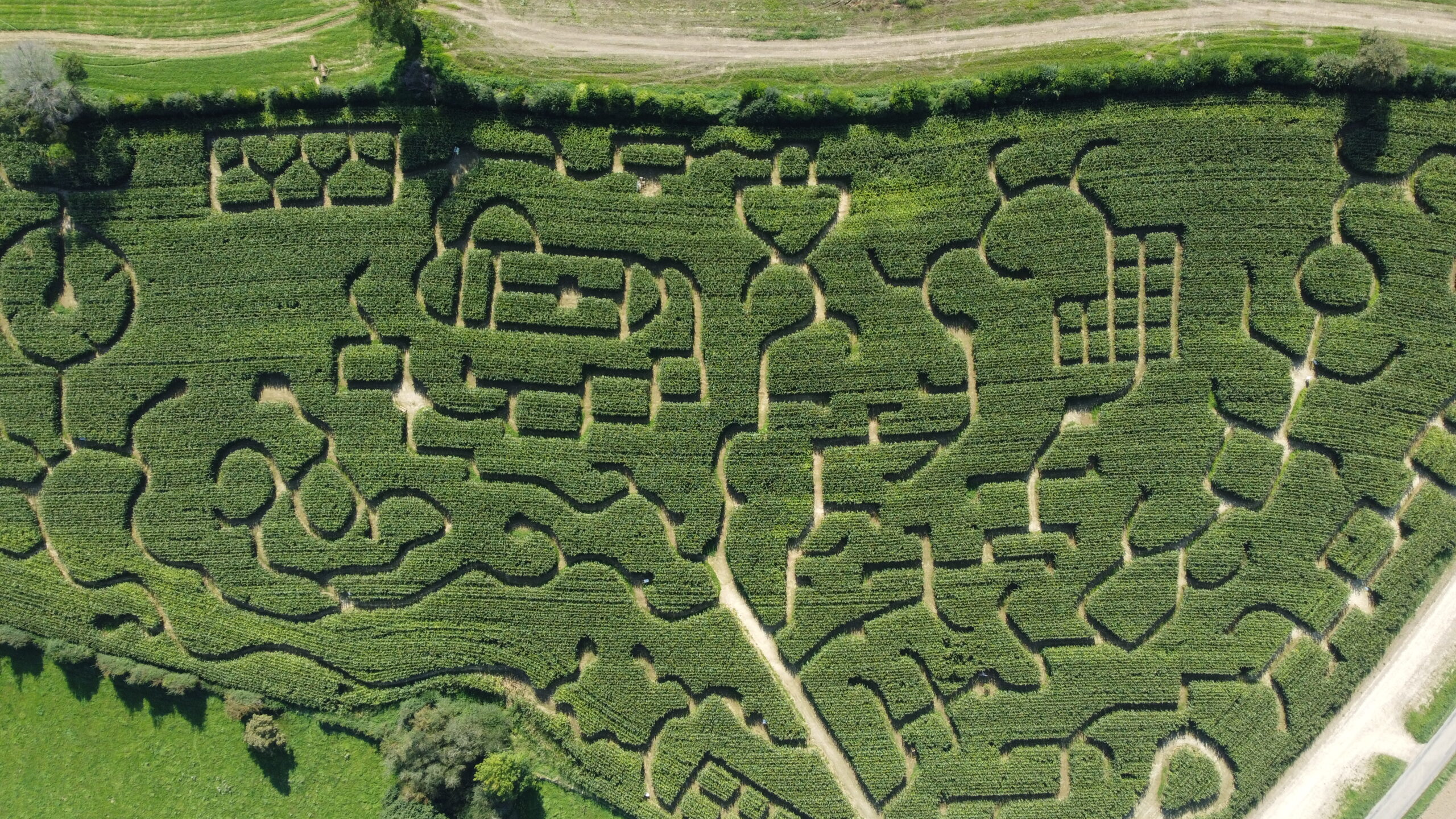 Photo Labyrinthe Honfleur