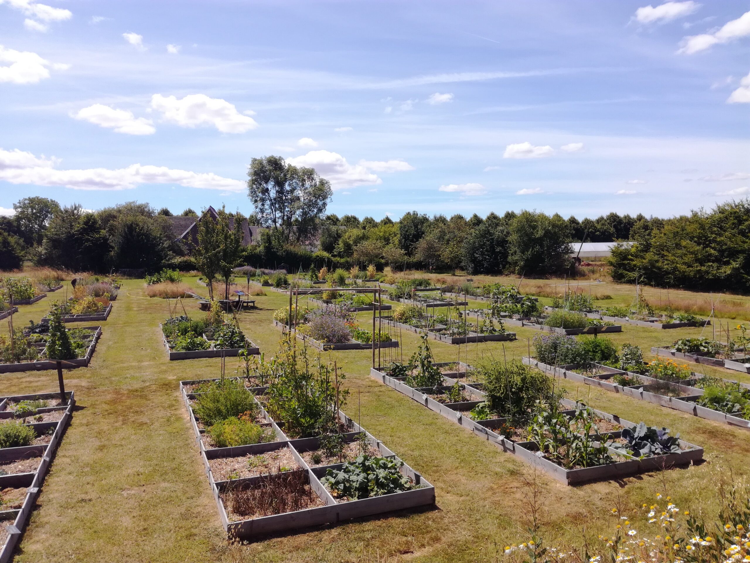 Photo Potager du Beaumesnil
