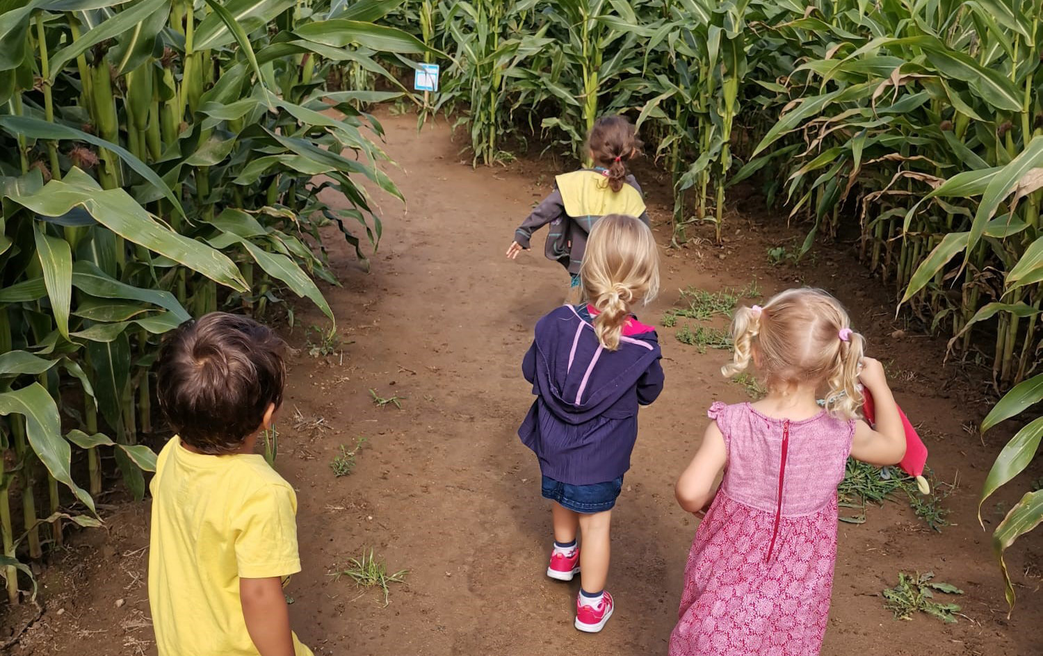 Photo Labyrinthe Coutances