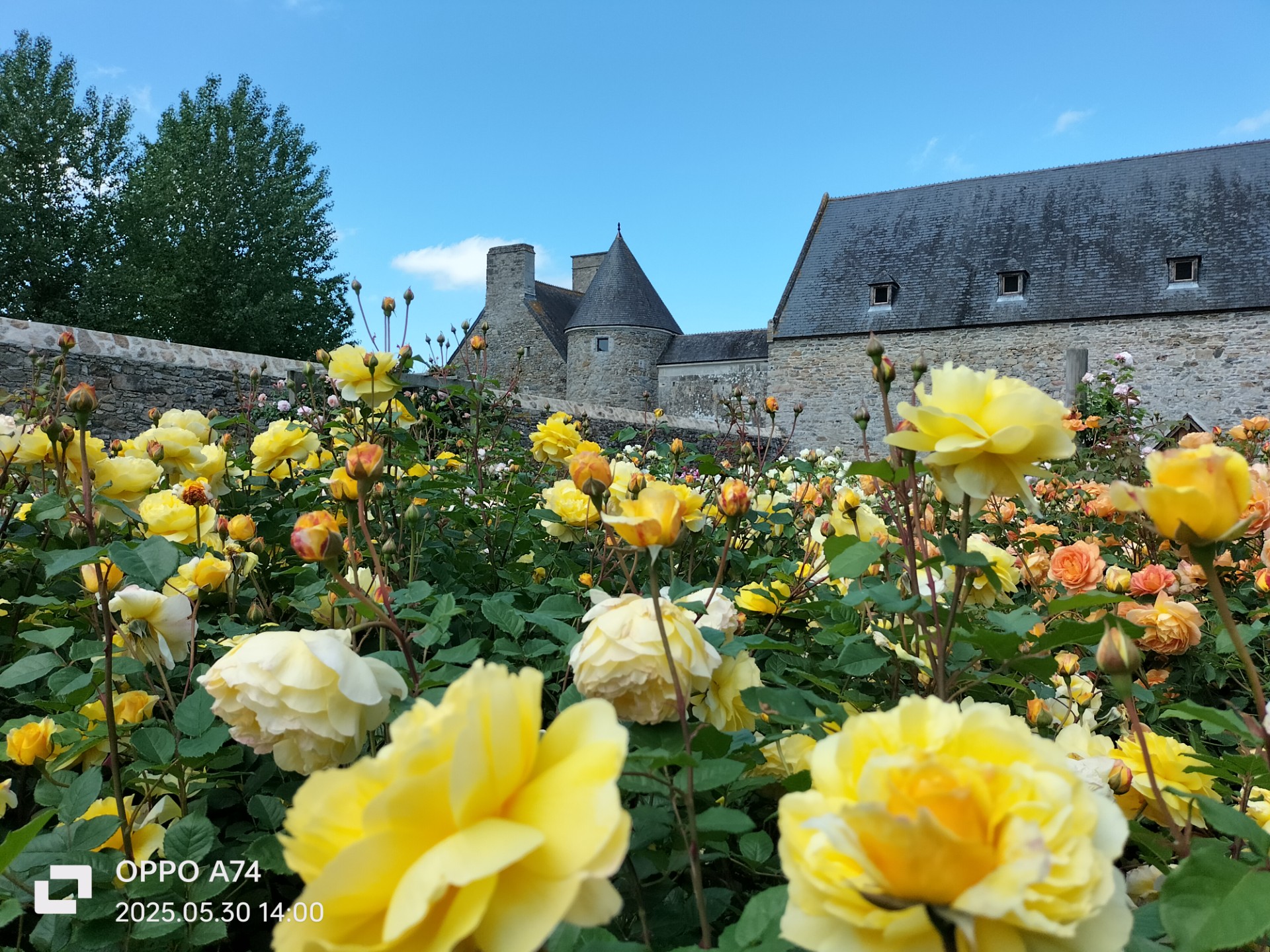 Photo Château de Montfort