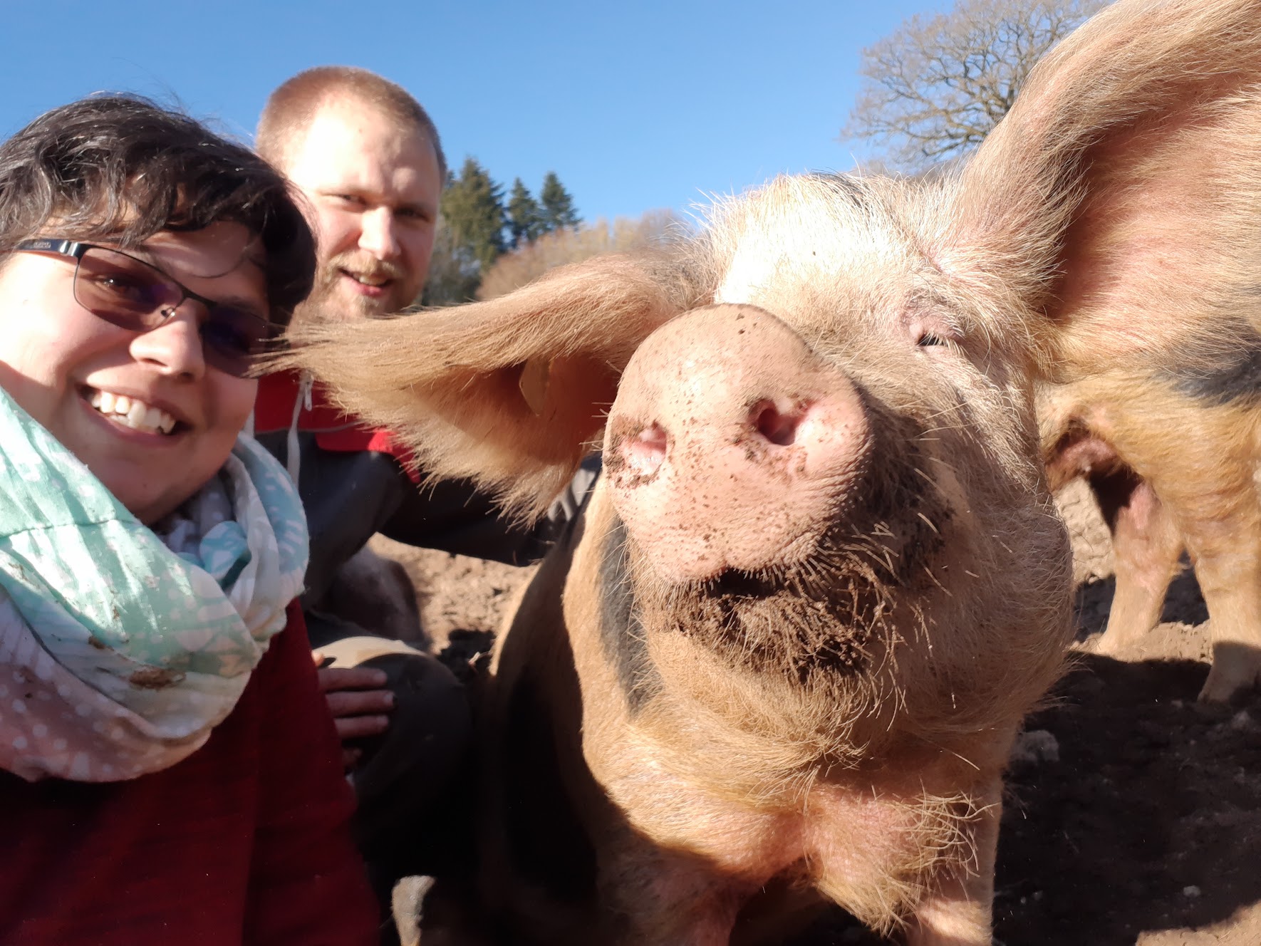Photo La Ferme de Grémi