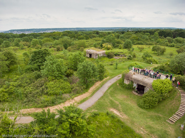 Les Batteries du Mont Canisy