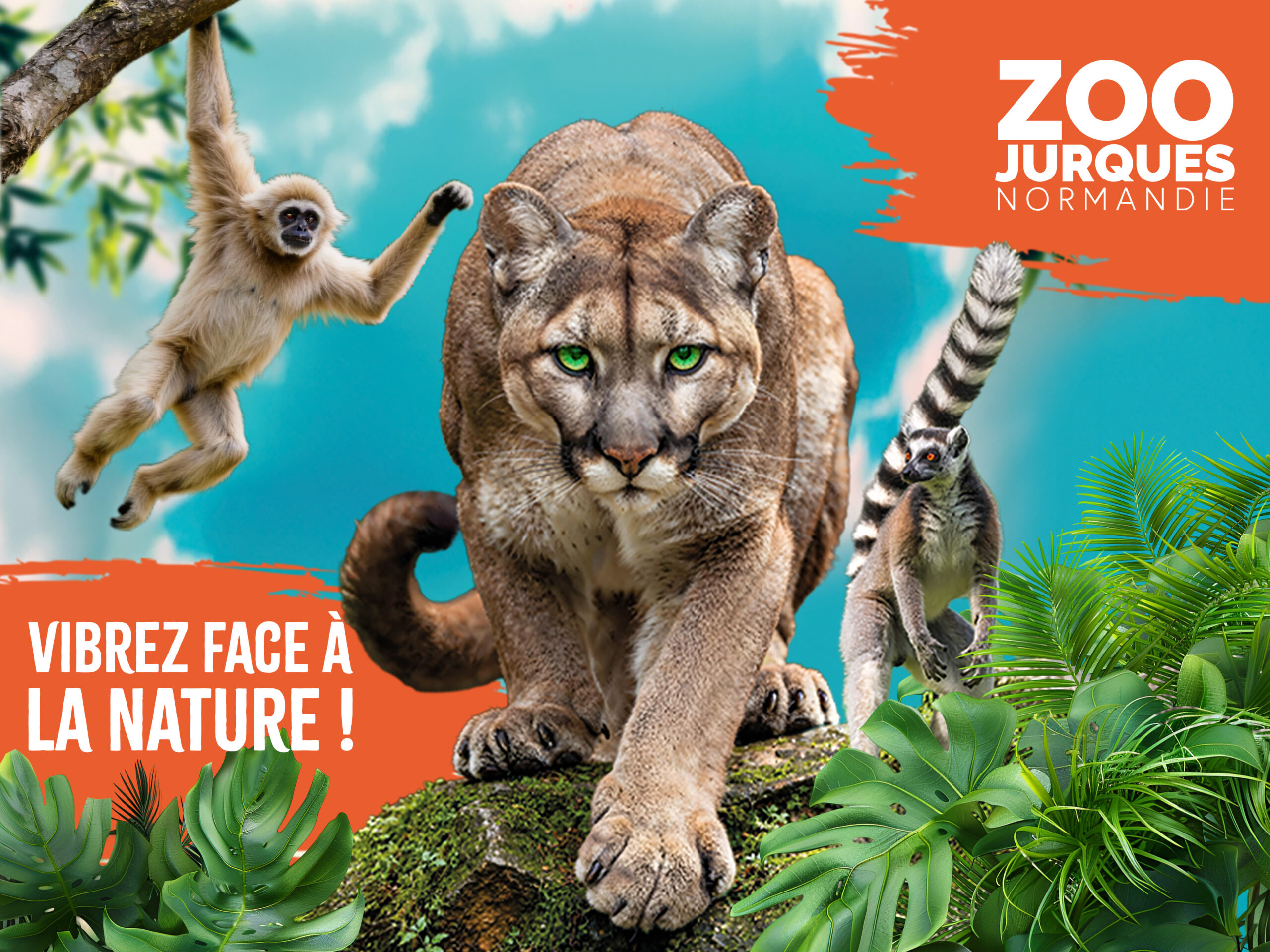 Photo Zoo de Jurques