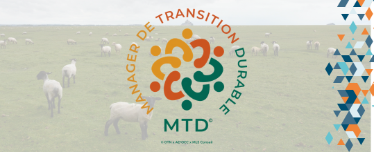 Manager de transition durable des OGD MTD - Manager de Transition Durable