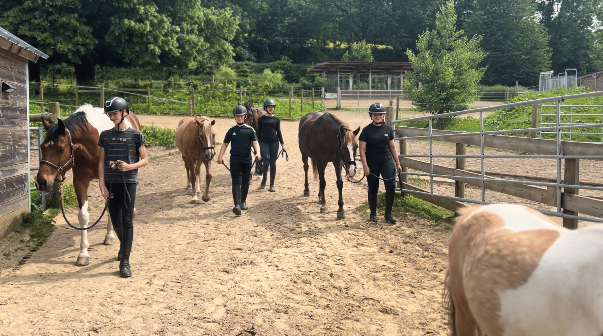 Photo Poney Nature et Haras de l'Étoile